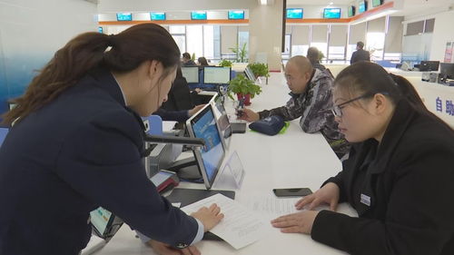 济宁市行政审批服务局 以主题教育助推企业高质量发展教育咨询服务